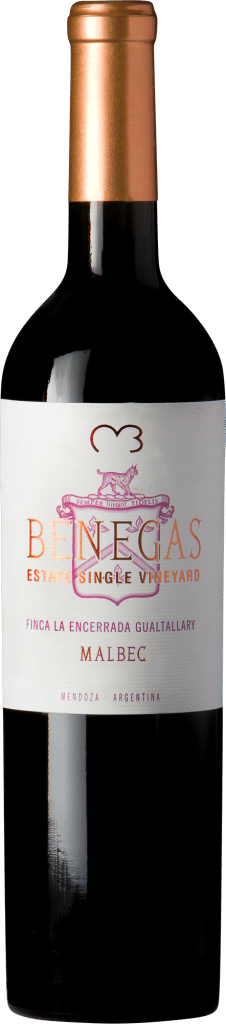 benegas single vineyard malbec